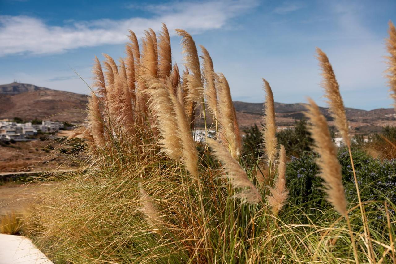 Ventu Paros Villa Marpissa Ngoại thất bức ảnh